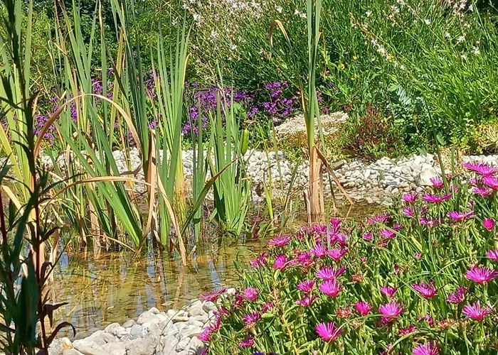 Magnifique Eco-gite 4 Personnes Avec Piscine Naturelle * Pont-du-Casse